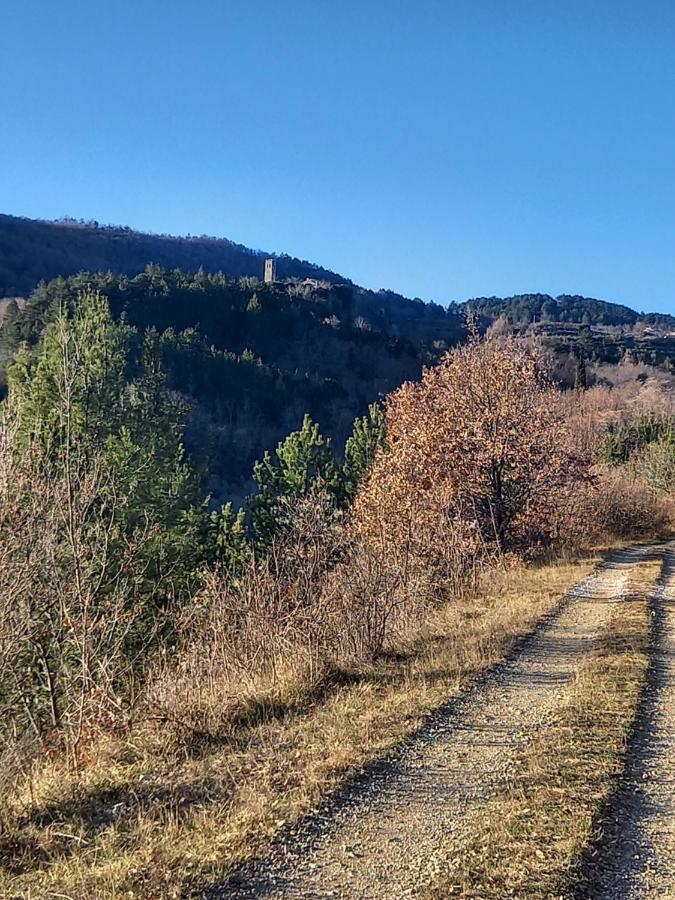 App Parenzana Apartment Groznjan Bagian luar foto